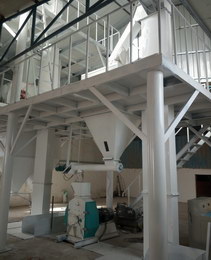 甘肅酒泉時產(chǎn)5-8噸飼料生產(chǎn)線